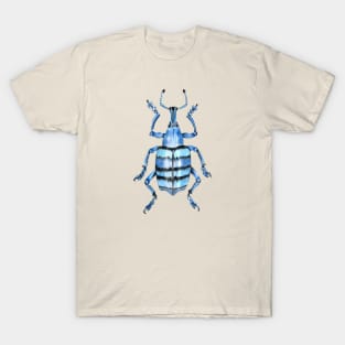 Weevil beetle T-Shirt